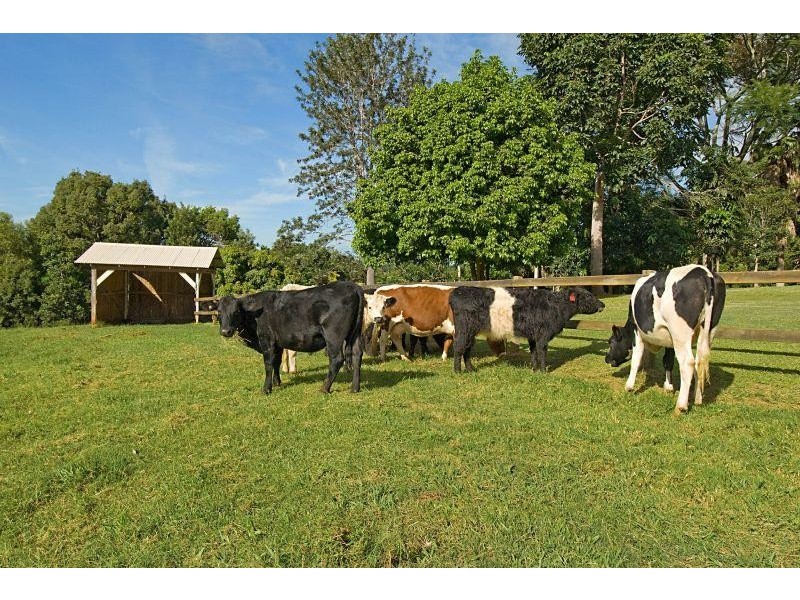 Mcleans Ridges NSW 2480