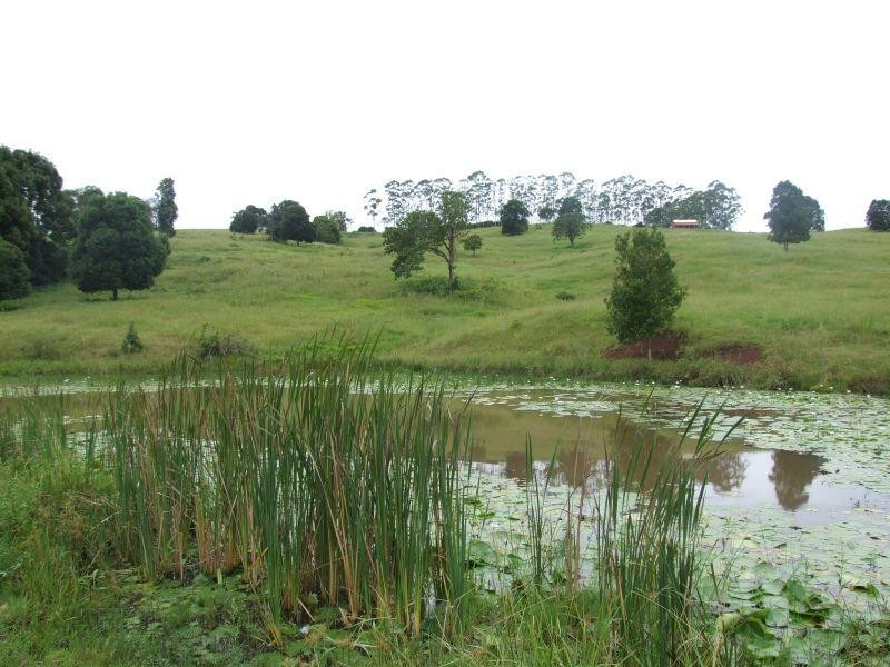 1860 Dunoon Road, Dunoon NSW 2480