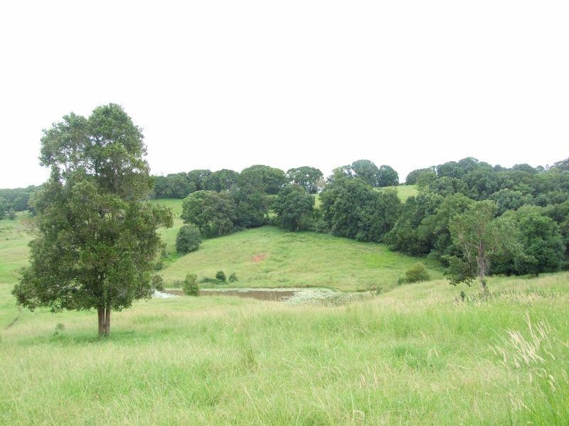 1860 Dunoon Road, Dunoon NSW 2480