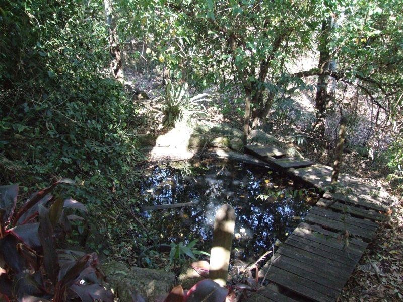 55 Fig Tree Drive, Goonellabah NSW 2480