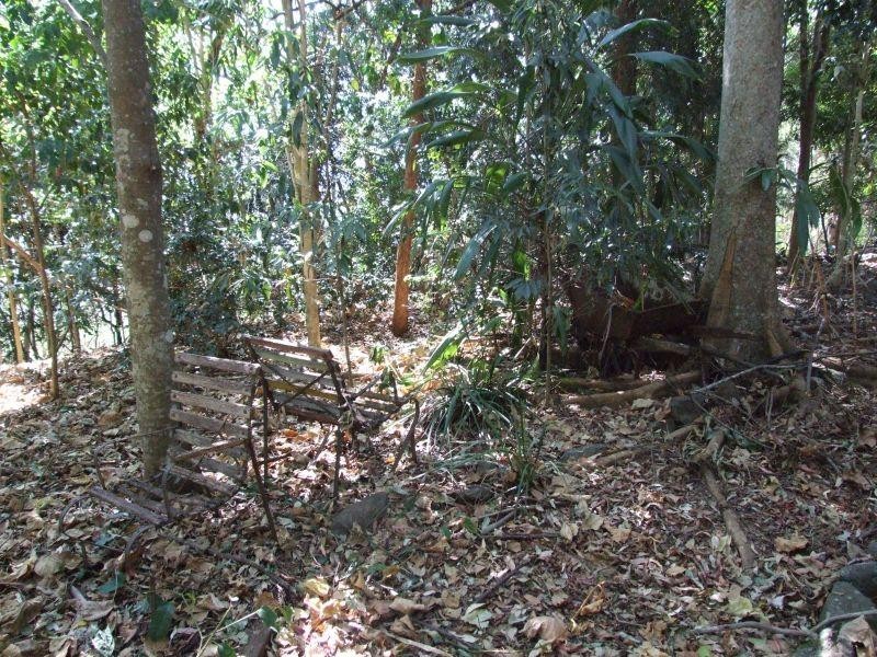 55 Fig Tree Drive, Goonellabah NSW 2480