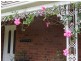Alstonville NSW 2477