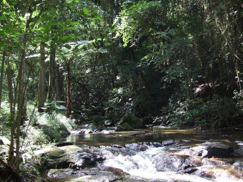 Lot 3/ Marom Creek Road, Meerschaum Vale NSW 2477