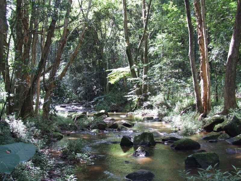 Lot 3/ Marom Creek Road, Meerschaum Vale NSW 2477