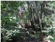 Lot 3/ Marom Creek Road, Meerschaum Vale NSW 2477