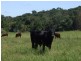 Lot 3/ Marom Creek Road, Meerschaum Vale NSW 2477