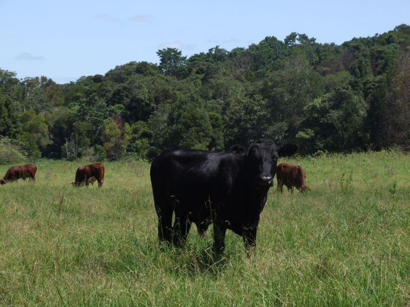Lot 3/ Marom Creek Road, Meerschaum Vale NSW 2477
