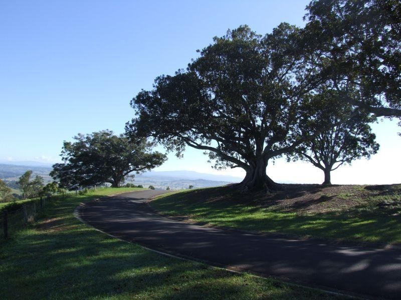 Mcleans Ridges NSW 2480