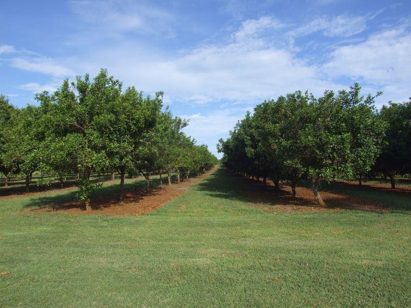 60 Rous Mill Road, Alstonville NSW 2477