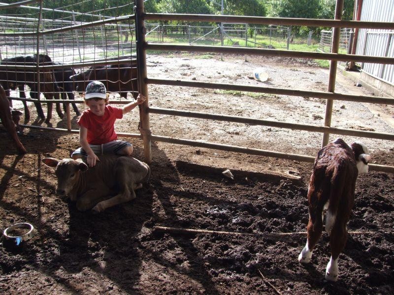 60 Rous Mill Road, Alstonville NSW 2477