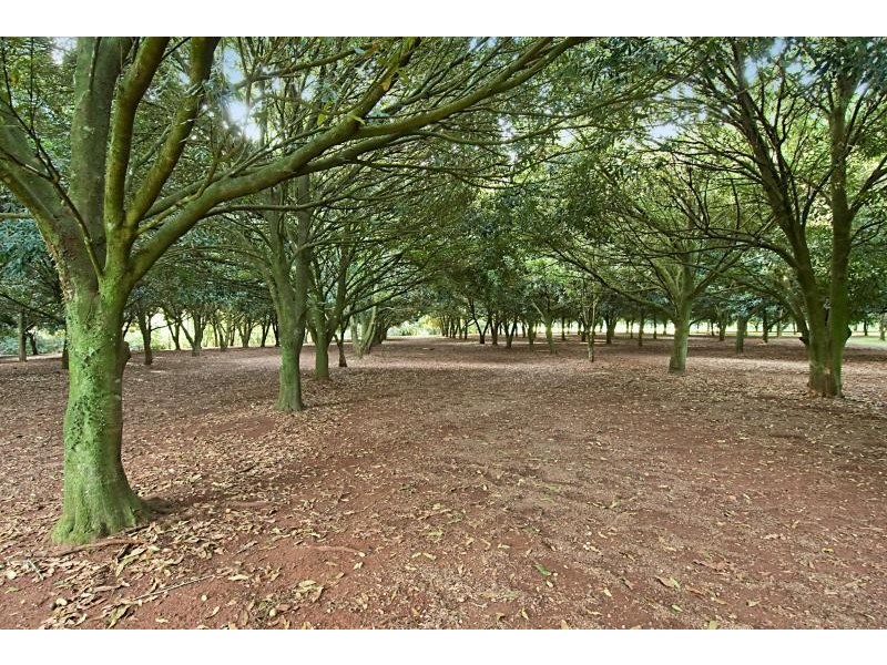 122 Alstonvale Road, Alstonvale NSW 2477