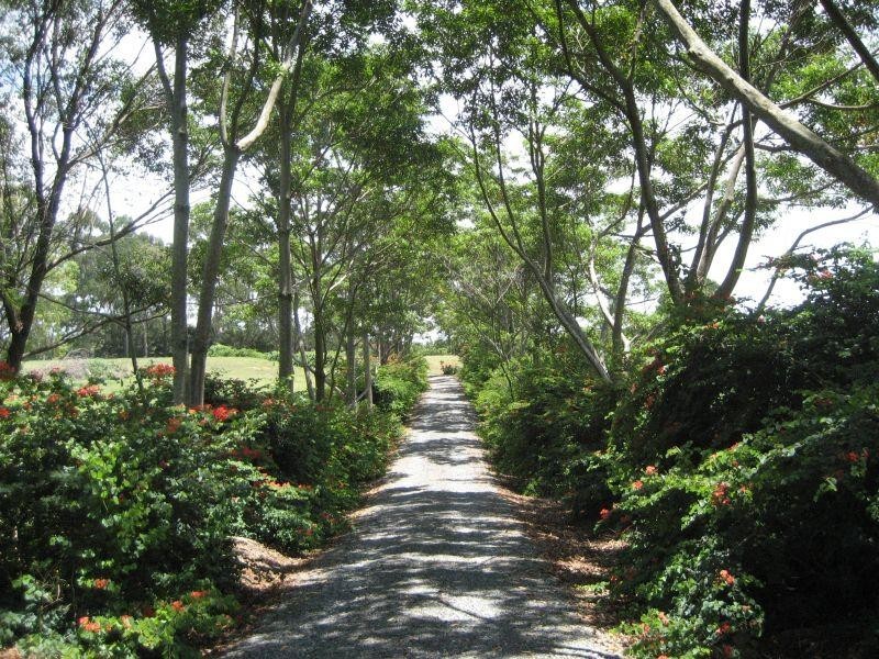 609 Dalwood Road, Rous Mill NSW 2477