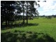 38 May Street, Dunoon NSW 2480