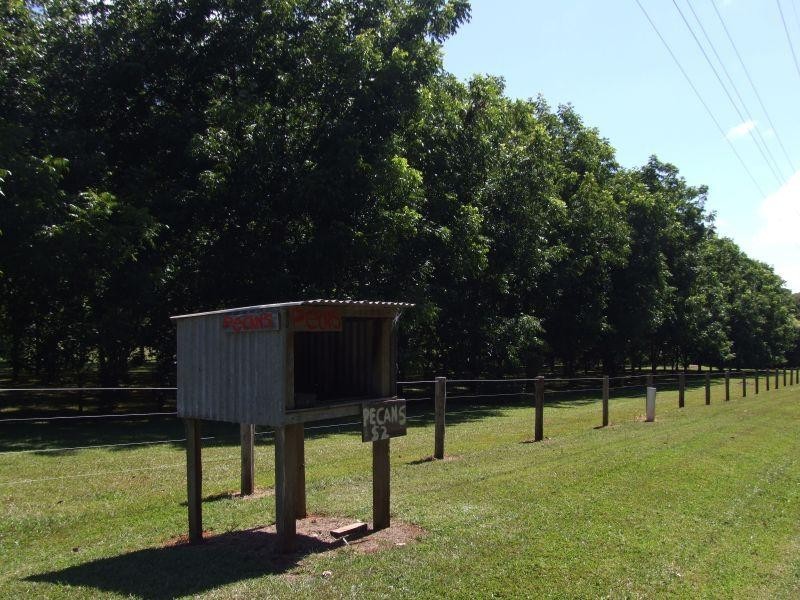 302 Lindendale Road, Lindendale NSW 2480