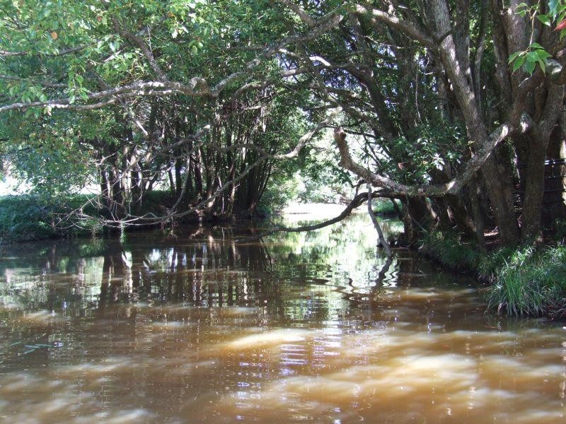 302 Lindendale Road, Lindendale NSW 2480