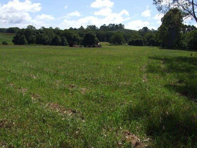 302 Lindendale Road, Lindendale NSW 2480