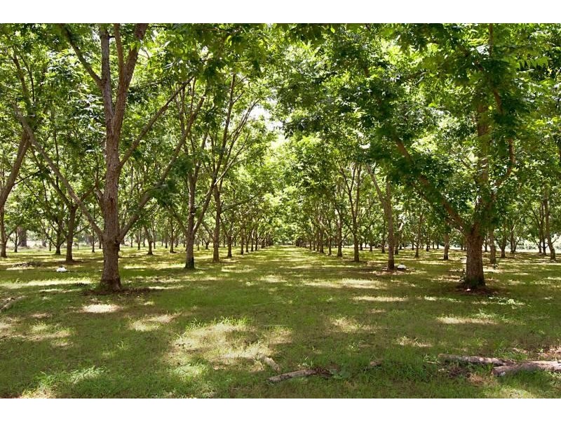 302 Lindendale Road, Lindendale NSW 2480