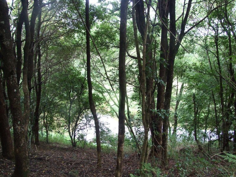 163 Boundary Road, Lindendale NSW 2480