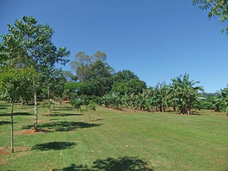 509 Wardell Road, Dalwood NSW 2477