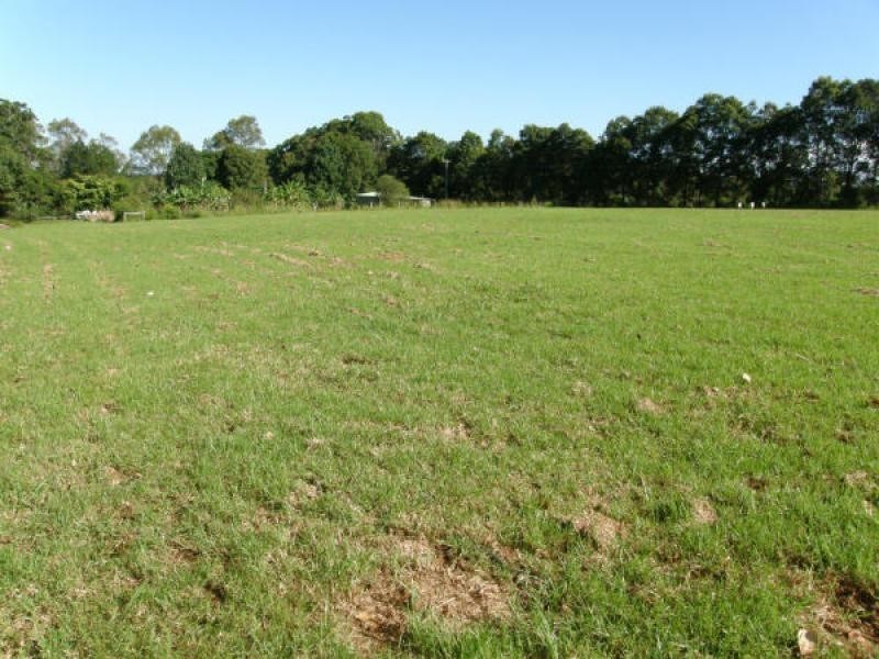 509 Wardell Road, Dalwood NSW 2477