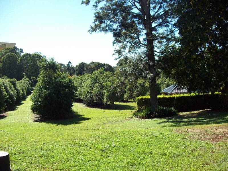 Mcleans Ridges NSW 2480