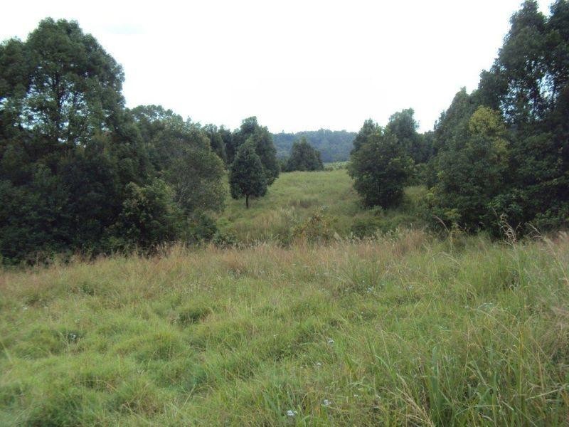 245a Connor Road, Tregeagle NSW 2480