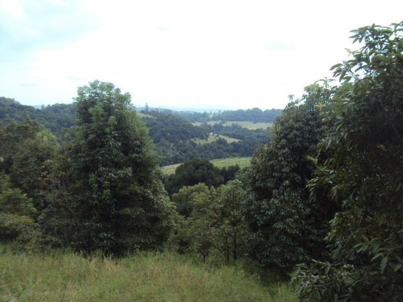 245a Connor Road, Tregeagle NSW 2480