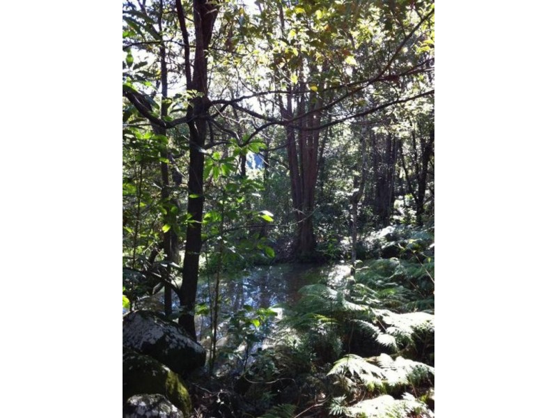 245a Connor Road, Tregeagle NSW 2480