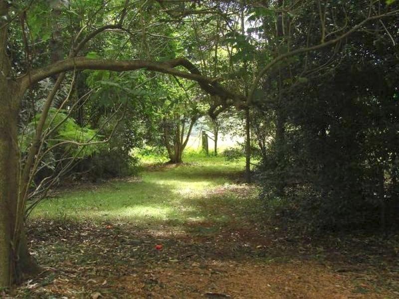 30 Leadbeatters Lane, Alstonville NSW 2477