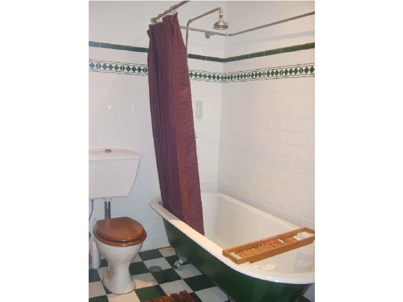 87 PALACE STREET, Petersham NSW 2049