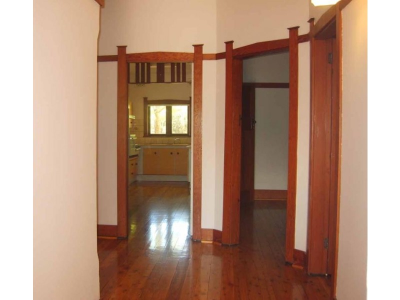 19 Knocklayde Street, Ashfield NSW 2131