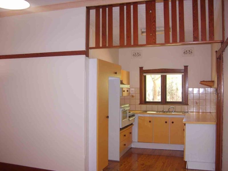 19 Knocklayde Street, Ashfield NSW 2131