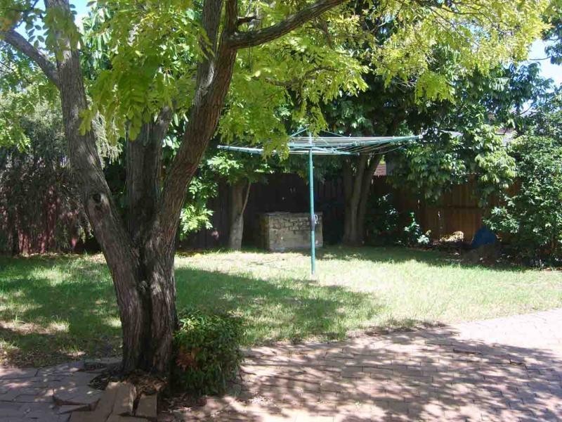 19 Knocklayde Street, Ashfield NSW 2131