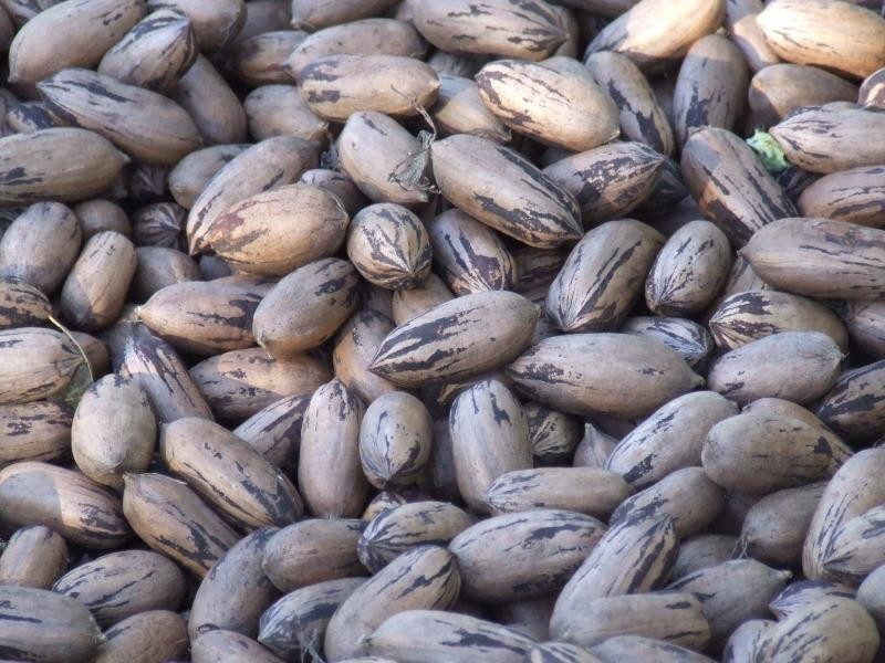 302 LINDENDALE ROAD, Lindendale NSW 2480