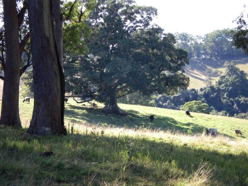 140 DUNCAN ROAD, Numulgi NSW 2480