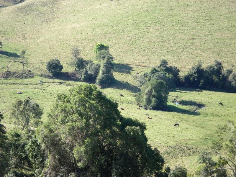 140 DUNCAN ROAD, Numulgi NSW 2480