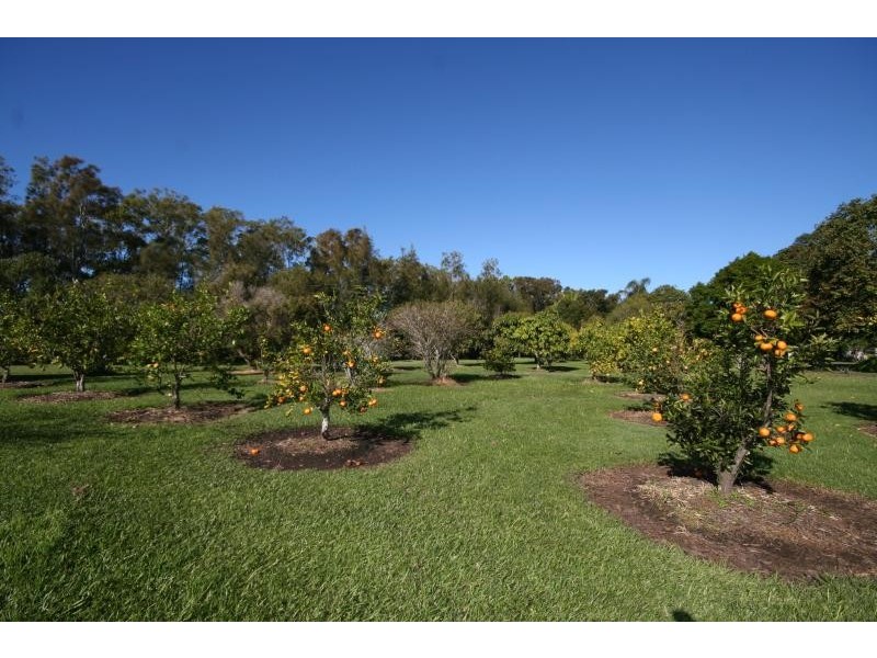 225 RIVERBANK ROAD, Pimlico NSW 2478