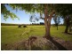 225 RIVERBANK ROAD, Pimlico NSW 2478