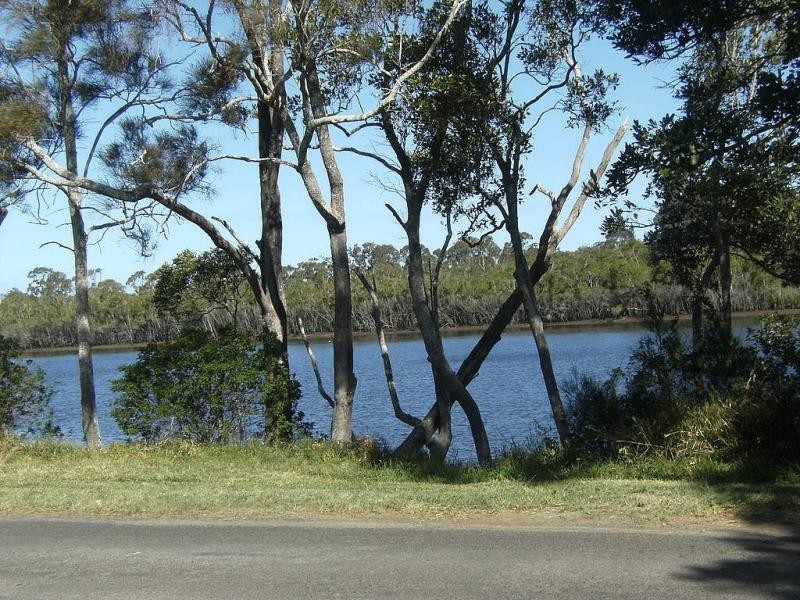 95 RIVERBANK ROAD, Pimlico NSW 2478