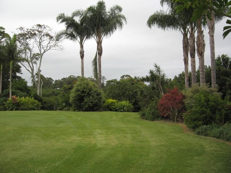 498 COWLONG ROAD, Mcleans Ridges NSW 2480