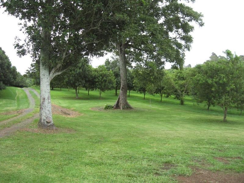 498 COWLONG ROAD, Mcleans Ridges NSW 2480