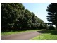 17 TUCKOMBIL LANE, Tuckombil NSW 2477