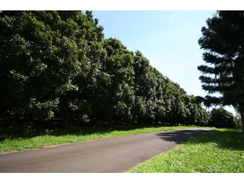 17 TUCKOMBIL LANE, Tuckombil NSW 2477