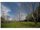 17 TUCKOMBIL LANE, Tuckombil NSW 2477