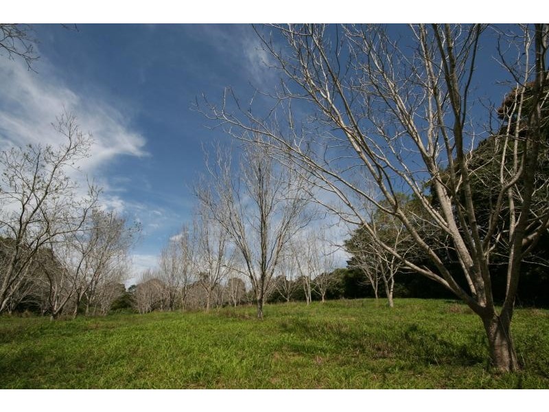 17 TUCKOMBIL LANE, Tuckombil NSW 2477