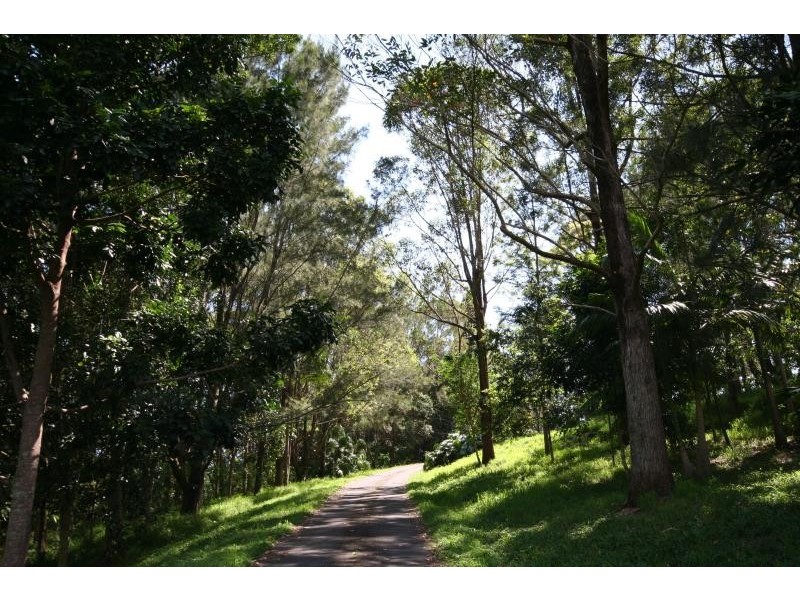 17 TUCKOMBIL LANE, Tuckombil NSW 2477