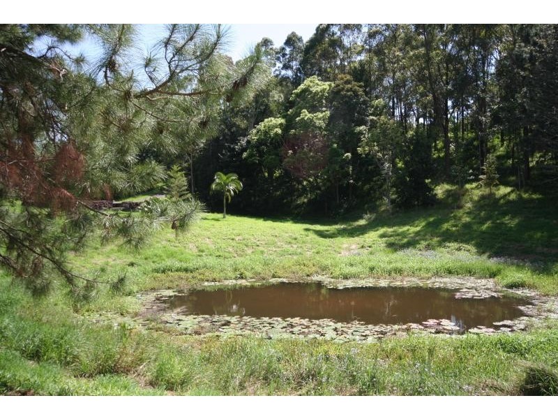 17 TUCKOMBIL LANE, Tuckombil NSW 2477