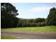 17 TUCKOMBIL LANE, Tuckombil NSW 2477