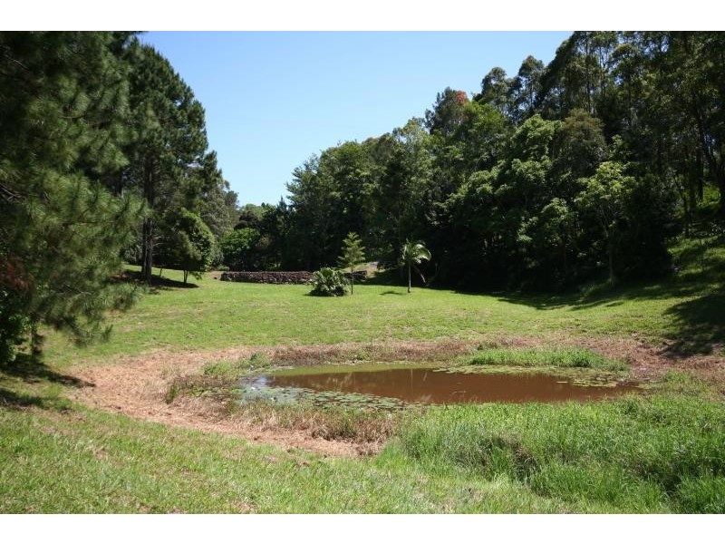 17 TUCKOMBIL LANE, Tuckombil NSW 2477