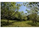 17 TUCKOMBIL LANE, Tuckombil NSW 2477